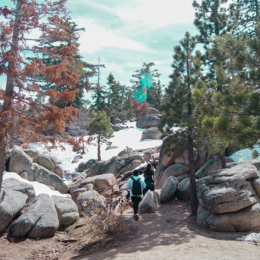 Castle Rock Trail - Hiking Near Me - Big Bear Lake, California