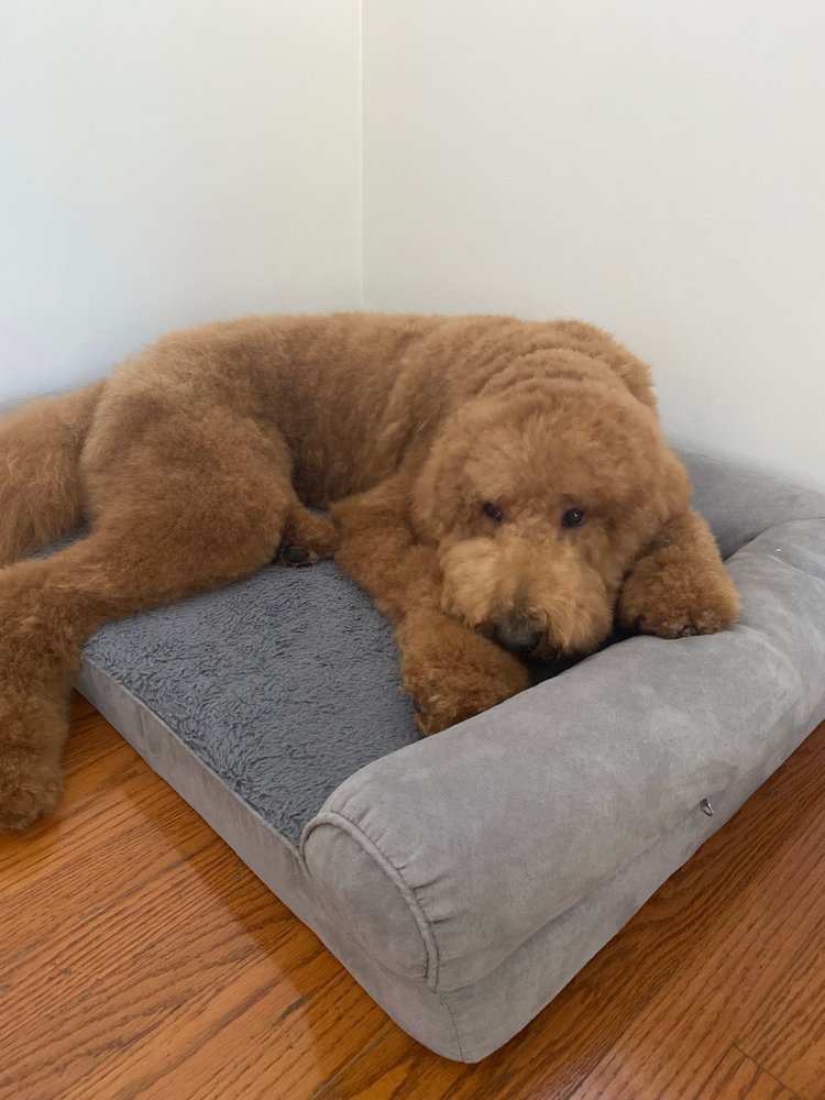 COUNTRY OAKS BED AND BISCUIT INN Updated September 2024 14 Reviews