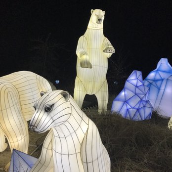 Dublin Zoo - Wild lights - Zoos Near Me - Dublin, D Dublin Zoo - Wild lights - Zoos Near Me - Dublin, D