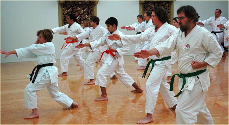 Western Washington Shotokan Karate Group Logo