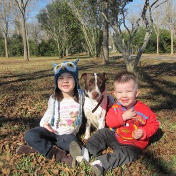 Pecan Hill Kennels - Best training ever!! - Pet Sitting Near Me - Pattison, Texas Pecan Hill Kennels - Best training ever!! - Pet Sitting Near Me - Pattison, Texas