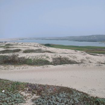 Rancho Guadalupe Dunes Preserve - Amazing - Beaches Near Me - Guadalupe, California Rancho Guadalupe Dunes Preserve - Amazing - Beaches Near Me - Guadalupe, California