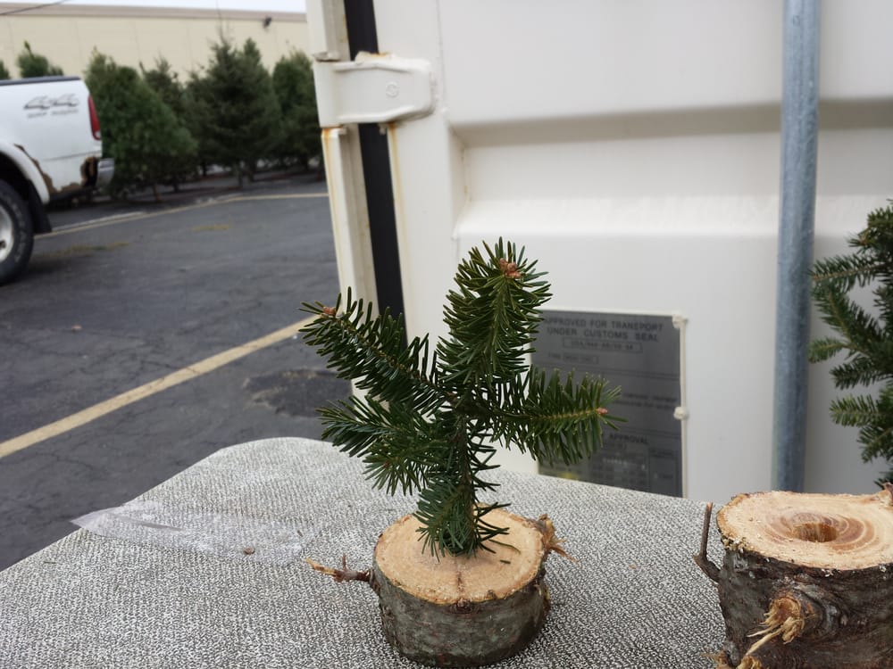 Grandpa Vern's ChristmasTrees - tree service in Milwaukee, WI