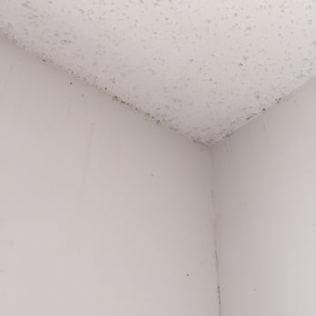 Arbor Lake - Bedbug evidence - Apartments Near Me - Chester, Virginia
