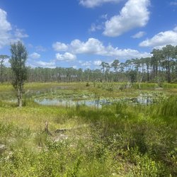 Patsy Pond Nature Trail