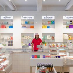 Superette - Superette Summerhill Interior