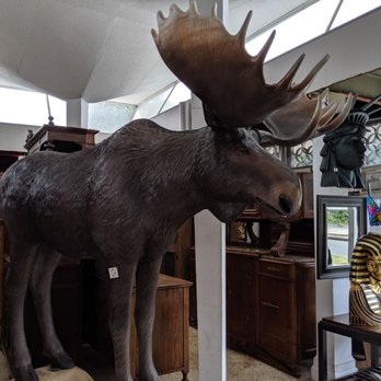 Universal Trading Co - Moose - Antiques Near Me - Savannah, Georgia