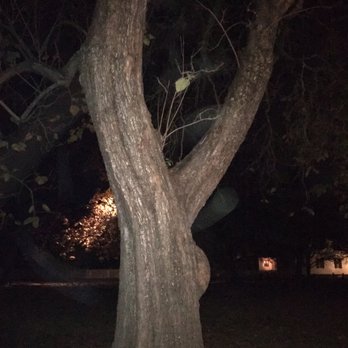 Williamsburg Ghost Tour - I think there is an orb in motion. - Walking Tours Near Me - Williamsburg, Virginia Williamsburg Ghost Tour - I think there is an orb in motion. - Walking Tours Near Me - Williamsburg, Virginia