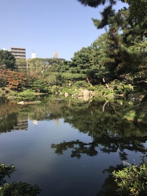 Shukkeien Garden by null