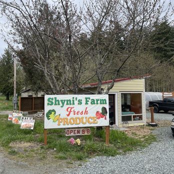 Shynis Farm - Welcome to our organic wonderful fresh produce farm - Farmers Market Near Me - Anacortes, Washington