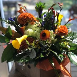 Laurel Street Flowers