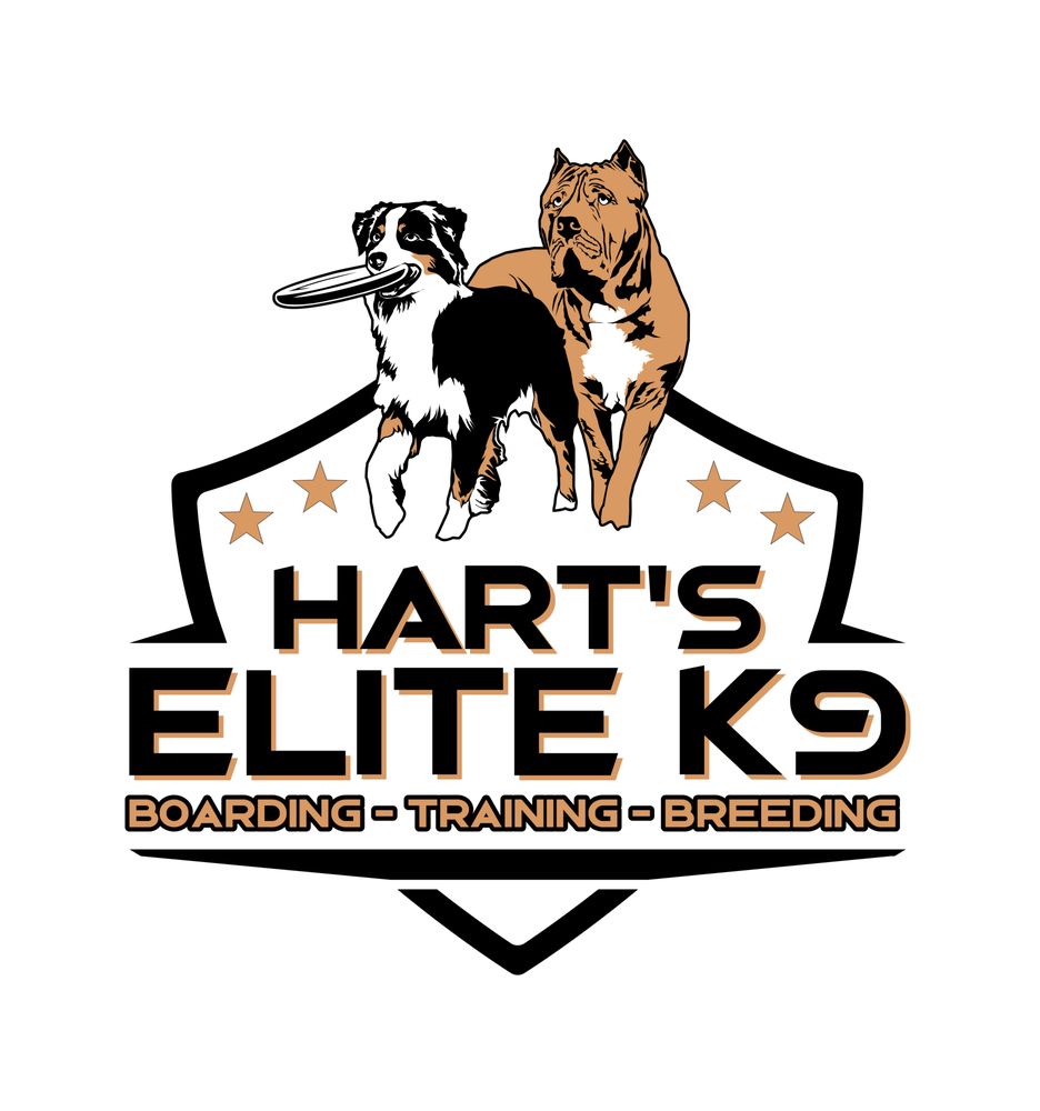 HART’S ELITE K9 9325 W Hwy 42, Goshen, Kentucky Pet Boarding