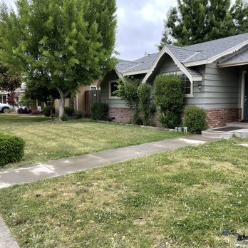 Modesto Lawn Mow - Before front yard - Lawn Services Near Me Modesto Lawn Mow - Before front yard - Lawn Services Near Me
