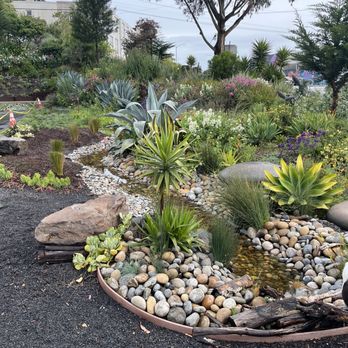 TunnelTop Park - Bioswale - Parks Near Me - San Francisco, California TunnelTop Park - Bioswale - Parks Near Me - San Francisco, California