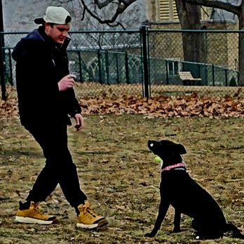 Phillips Command Dogs - Pet Training Near Me - Olean, New York Phillips Command Dogs - Pet Training Near Me - Olean, New York