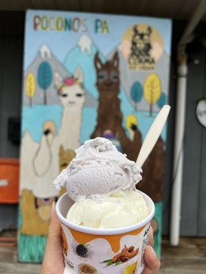 Llama Ice Cream by null