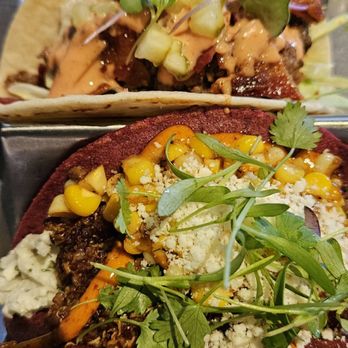 Agave Social - Cocktail Bars Near Me - Tampa, Florida