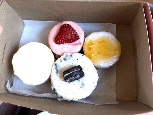 The Celia Jacobs Cheesecake Experience by null