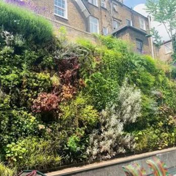 The Detailing Guys - A larger green wall/ plant wall with a full irrigation system, a hands-off system. email or call for a quote and design - Auto Detailing Near Me The Detailing Guys - A larger green wall/ plant wall with a full irrigation system, a hands-off system. email or call for a quote and design - Auto Detailing Near Me