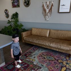 Curly Tail Coffee & Gift Shop