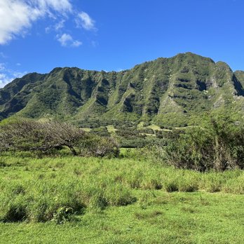 Kualoa Ranch - Tours Near Me - Kaneohe, Hawaii Kualoa Ranch - Tours Near Me - Kaneohe, Hawaii