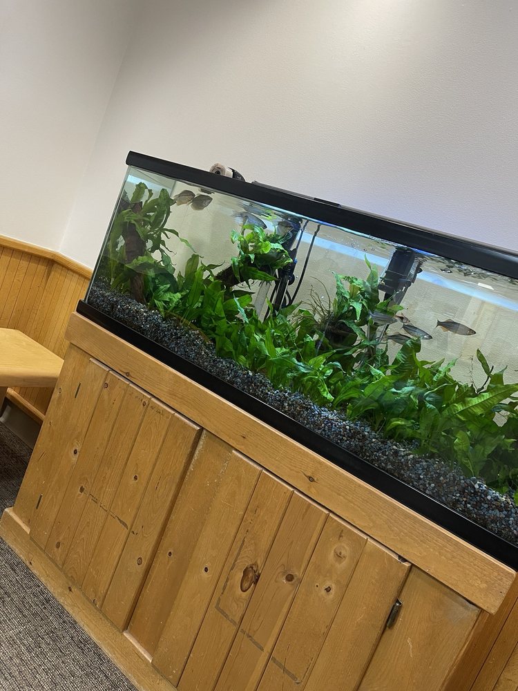 LaTouche Pediatrics - patient advocate in Anchorage, AK