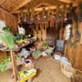 Photo of Tenfold Farmstand
