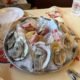 Oysters Oysters