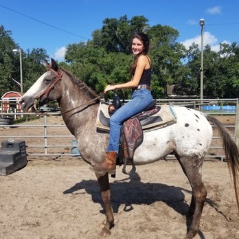 Turkey Creek Stables - fred - Horseback Riding Near Me - Plant City, Florida Turkey Creek Stables - fred - Horseback Riding Near Me - Plant City, Florida