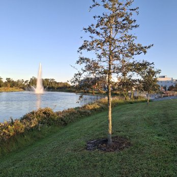 The Grove - Parks Near Me - Orlando, Florida The Grove - Parks Near Me - Orlando, Florida