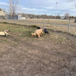 Gettysburg Dog Park