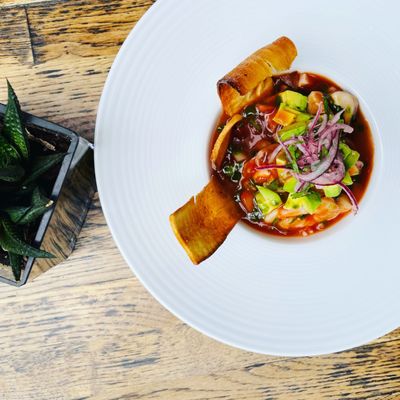 Bar San Miguel - Carroll Gardens by null