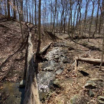 Turkey Run Park - Parks Near Me