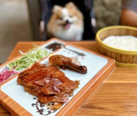 Koi Palace Contempo by null