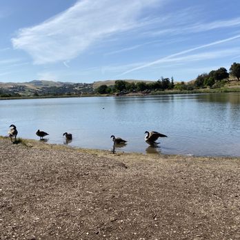 Ed R. Levin County Park - Dog Parks Near Me - Milpitas, California Ed R. Levin County Park - Dog Parks Near Me - Milpitas, California