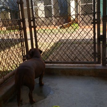Animal Quarantine - Visiting our little one and a view of the other kennels - Public Services & Government Near Me - Aiea, Hawaii Animal Quarantine - Visiting our little one and a view of the other kennels - Public Services & Government Near Me - Aiea, Hawaii