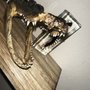 Photo of Wood Shark Trading