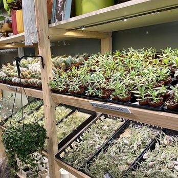 PlantHouse - Nurseries & Gardening Near Me - Richmond, Virginia