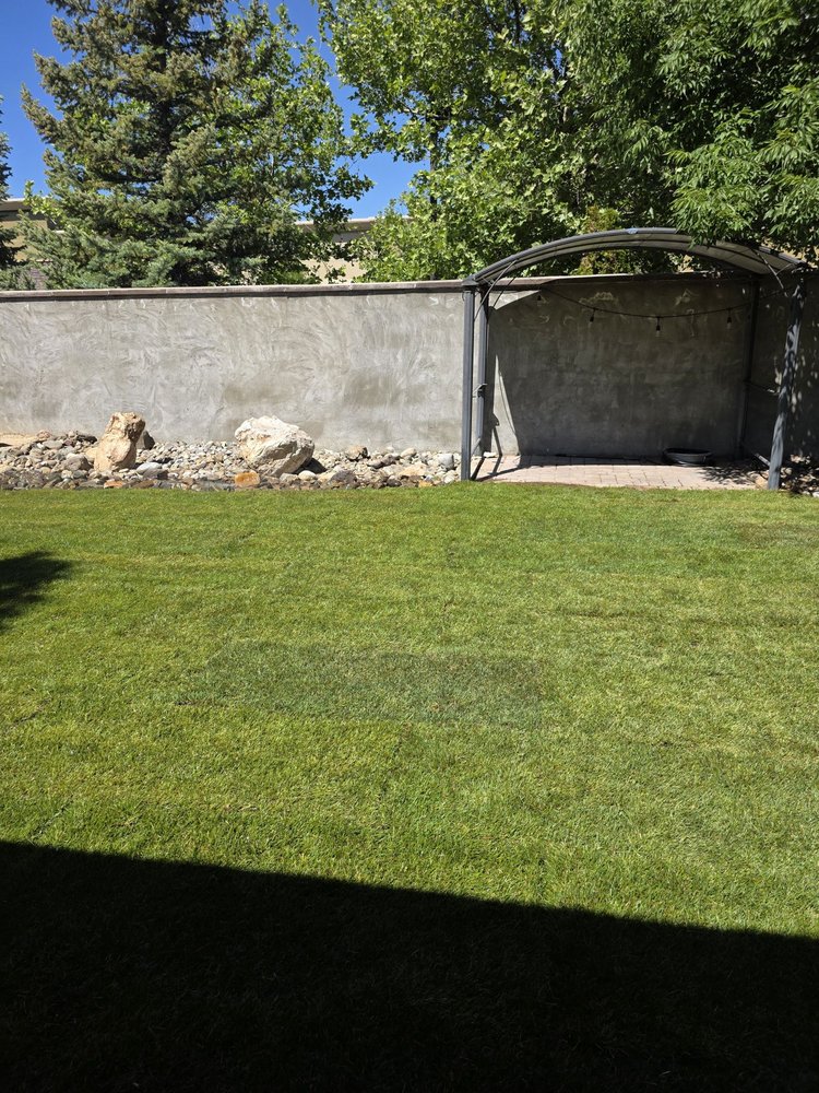 All City Lawn & Landscaping - tree service in Reno, NV