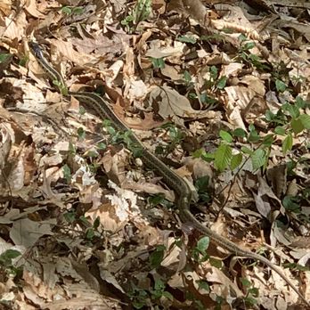 Burke Lake Park - Parks Near Me - Fairfax Station, Virginia
