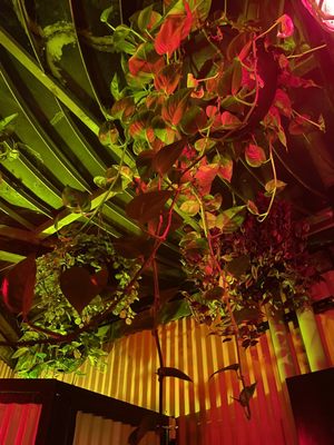 Habana Outpost by null