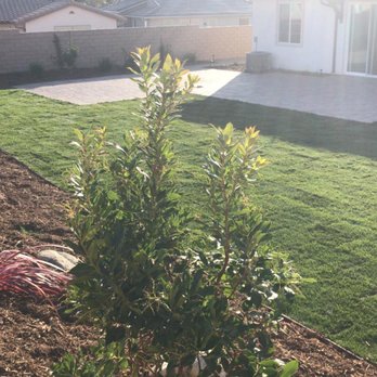 Dream Green Landscape - Freshly laid sod - Landscaping Near Me - Thousand Oaks, California