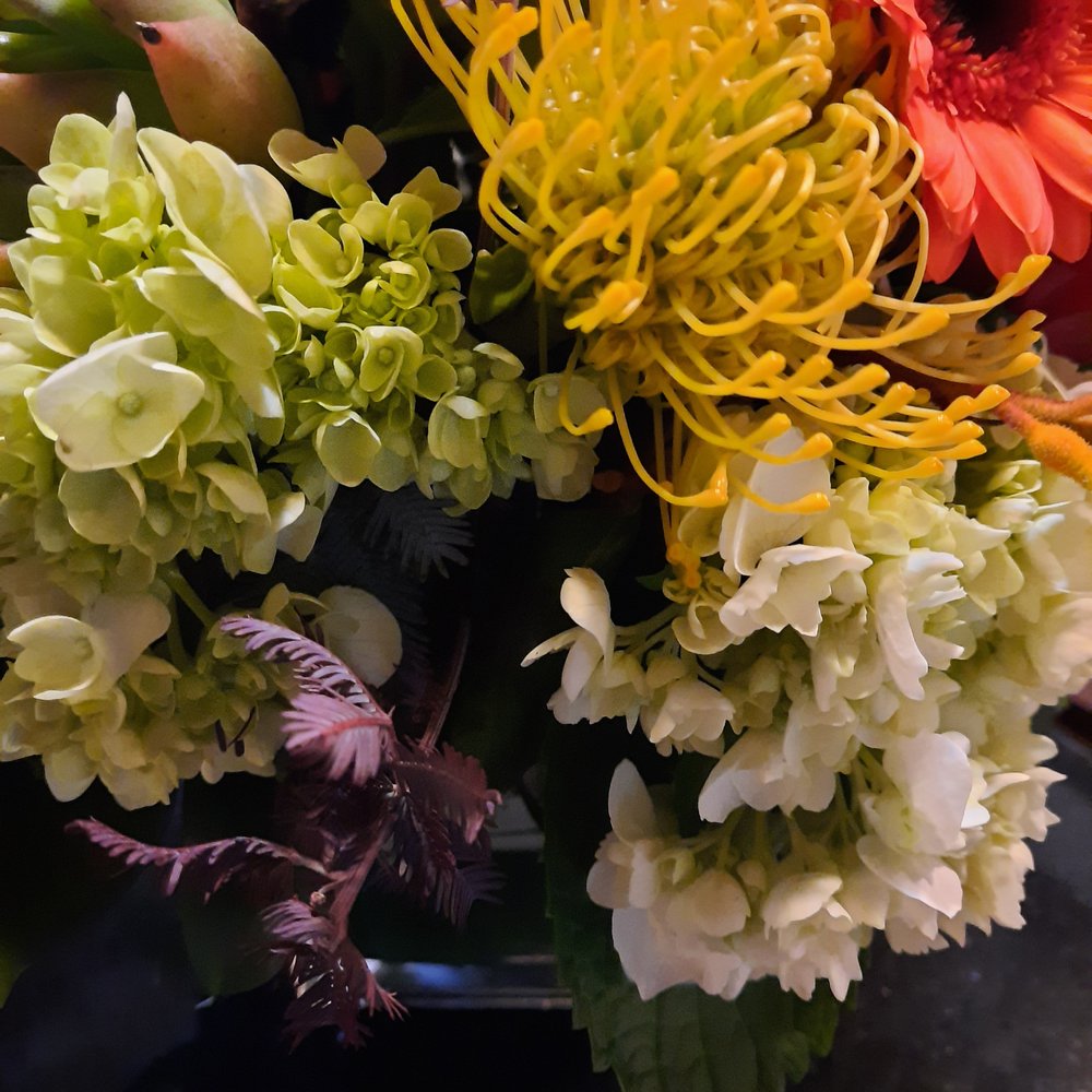 OpenBlooms - Beautiful flowers - Florists Near Me - Chantilly, Virginia OpenBlooms - Beautiful flowers - Florists Near Me - Chantilly, Virginia