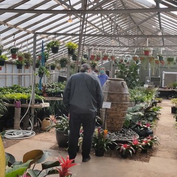 Calvert's Plant Interiors - The greenhouse with succulents. - Nurseries & Gardening Near Me - Oklahoma City, Oklahoma Calvert's Plant Interiors - The greenhouse with succulents. - Nurseries & Gardening Near Me - Oklahoma City, Oklahoma