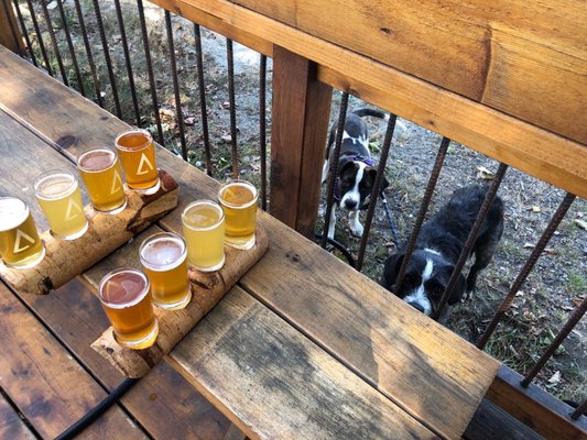 A-FRAME Brewing Co by null