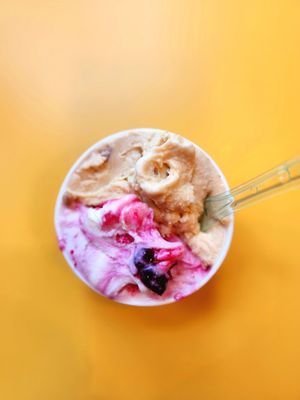 Motoretta Gelato by null