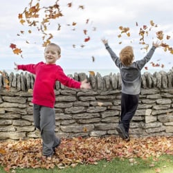 Fall fun