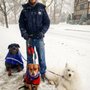 Photo of RawK9Food - Dog Training, Walking, Raw Dog Food