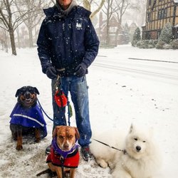 RawK9Food - Dog Training, Walking, Raw Dog Food - #PawsitiveVibes
#ForestHills
#WhatsYourStory
YouTube:Dog Walker Rob
InstaGram:Rawk9food
Rawk9Food.com - Dog Service