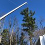 Photo of Greater Heights Tree And Land Management